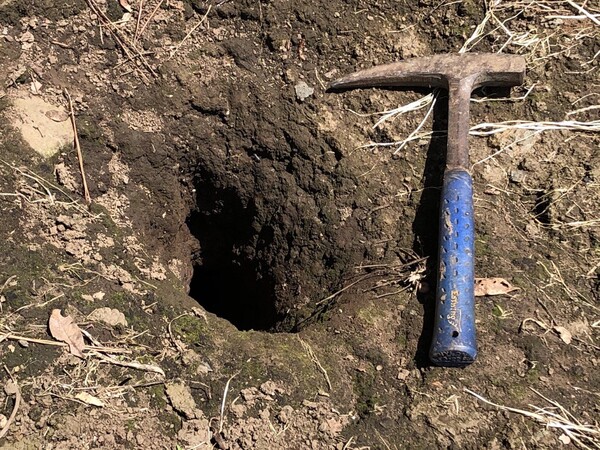 난산리 농지에 형성된 숨골. 이 구멍을 통하여 많은 양의 강우는 지하로 배수된다.(사진=강순석)