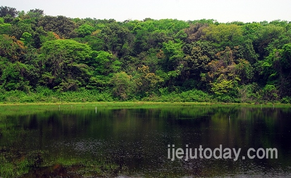 수망리 물영아리 습지(사진=제주투데이DB)