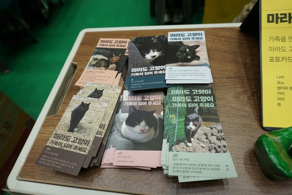 지난 8일부터 9일까지 한라체육관에서 열린 '2023 제주북페어' 현장. 12시간 만에 인쇄까지 완료된 마라도 고양이 홍보 리플릿. (사진=요행)