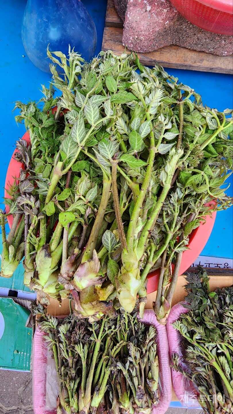 두릅. (사진=송기남)