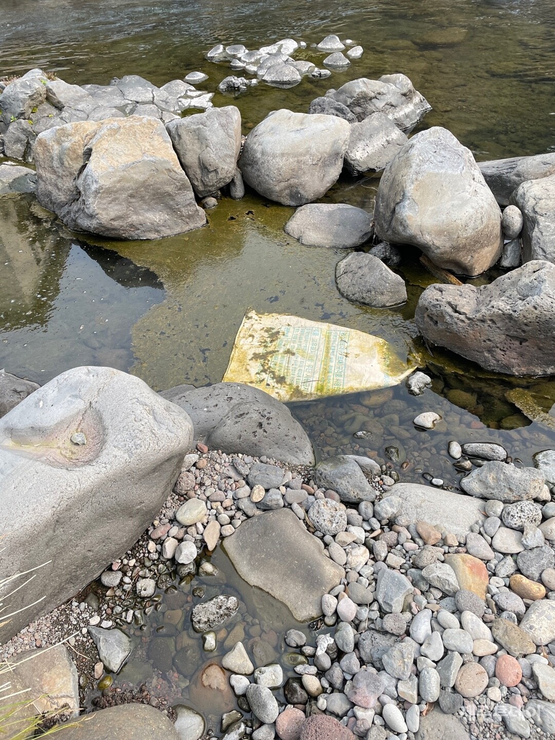 진입도로 및 교량 공사 이후 상수원인 강정천에 이끼가 자주 끼는 현상이 발생하고 있다. (사진=강정주민 이광희 제공)