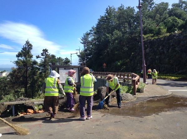 서홍동은 주민센터 직원 및 환경미화원, 공공근로자 등 20여명이 참여한 관내 일대에서 태풍 피해복구 활동을 전개했다.