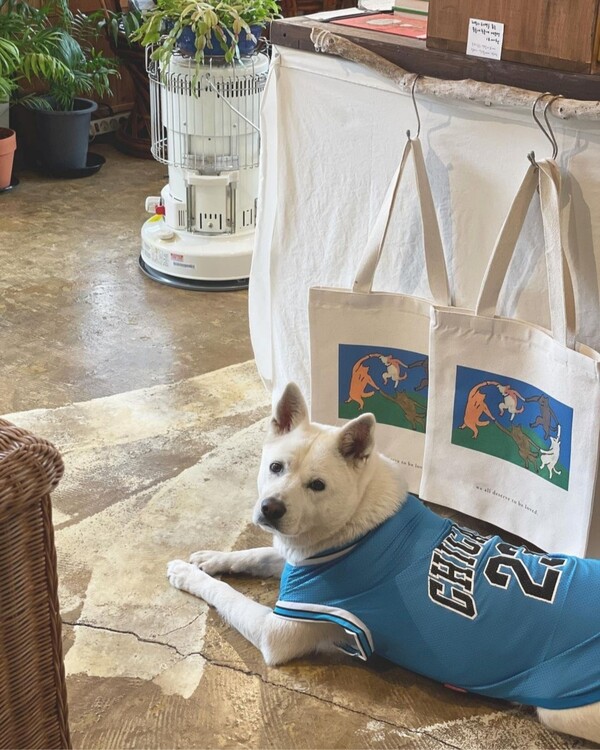 용눈이. (사진=취향의섬북앤띵즈 SNS)