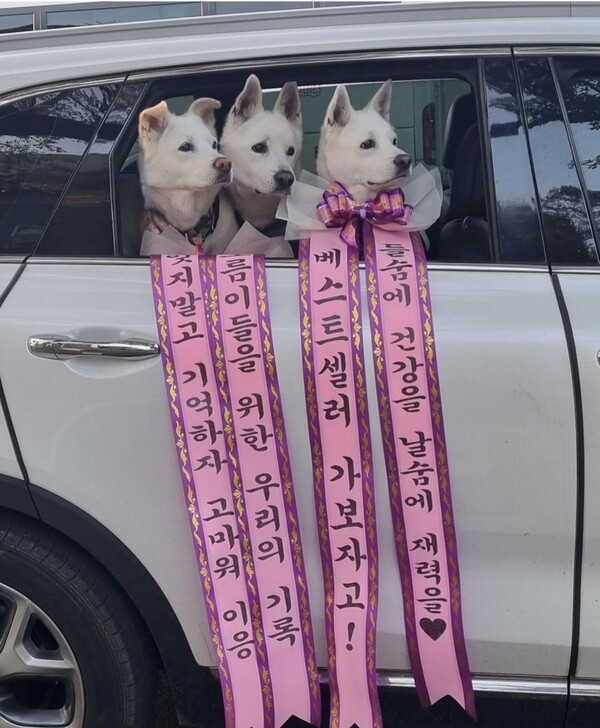 지난 제주북페어2023 현장에 응원 온 오름이들. (사진=취향의섬북앤띵즈 SNS)