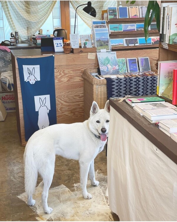 거문이. (사진=취향의섬북앤띵즈 SNS)