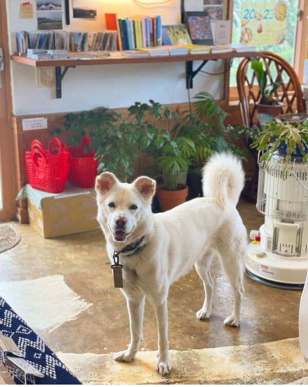 사라. (사진=취향의섬북앤띵즈 SNS)