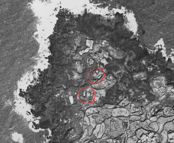 1967년에 촬영된 ‘수릉콪’ 일대의 항공사진입니다. ‘상동동산’ 주변 빨간색 원 안에 한 평에서 세 평에 이르는 다양한 ‘새왓’이 보입니다. ‘새왓’을 둘러싼 돌담의 형태가 제법 뚜렷합니다. 새마을운동 이후 초가집이 헐리면서 제주 ‘새왓’의 효용은 서서히 상실됩니다. 과거의 ‘새왓’은 일반 밭으로 전환되거나, 자연림으로 바뀌게 됩니다. ‘새왓’ 동산이었던 ‘상동동산’은 현재 소나무 동산이 되었습니다.(사진=제주공간정보포털)