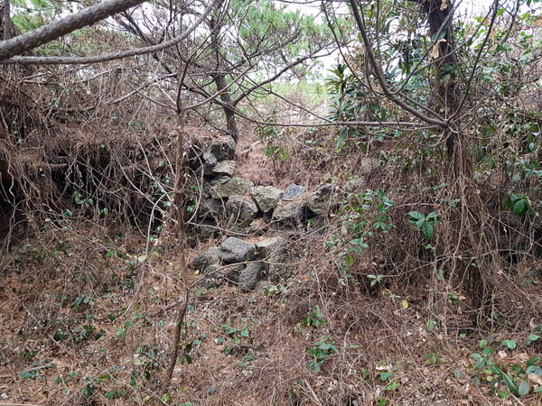  ‘상동동산’ 안에 남아있는 돌담의 흔적입니다.(사진: 고승욱)