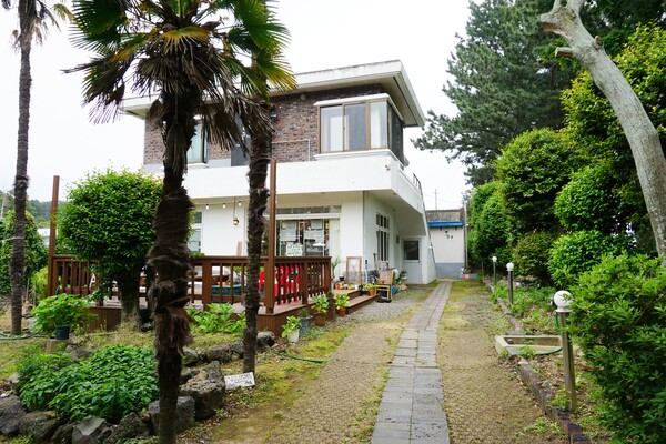 서귀포시 호근동 소재 책방 '취향의 섬 북앤띵즈'. 책방 진입로에 심어진 야자수 나무가 인상적이다. (사진=요행)