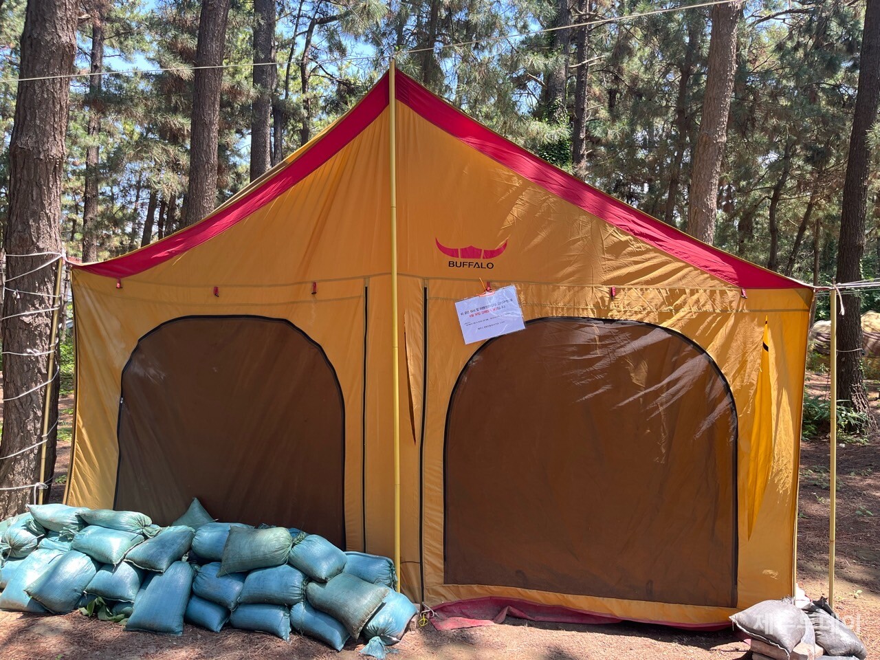 녹지구역에 방치된 텐트 (사진=제주시)
