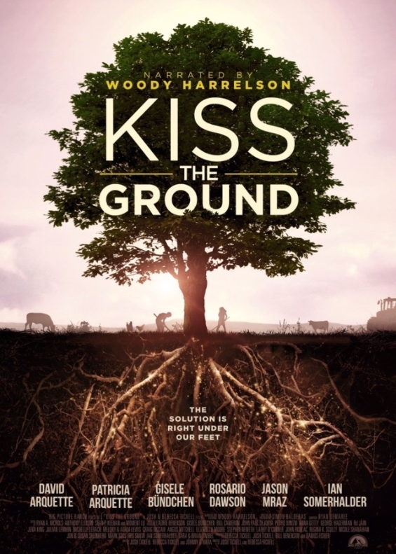 영화 [대지에 입맞춤을] 포스터