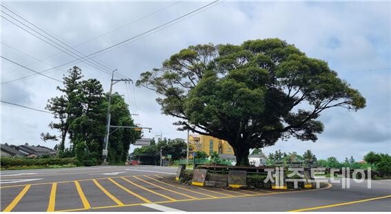 마을로 들어서는 가시리의 삼거리. (사진=여연)