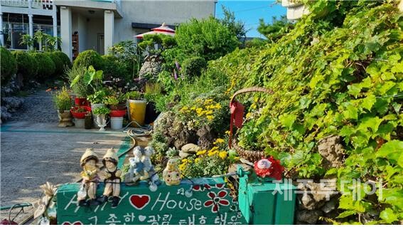 북촌의 어느 집 정원. (사진=여연)