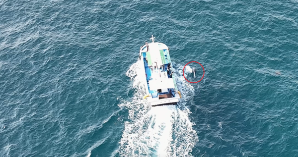 (사진=핫핑크돌핀스 제공)