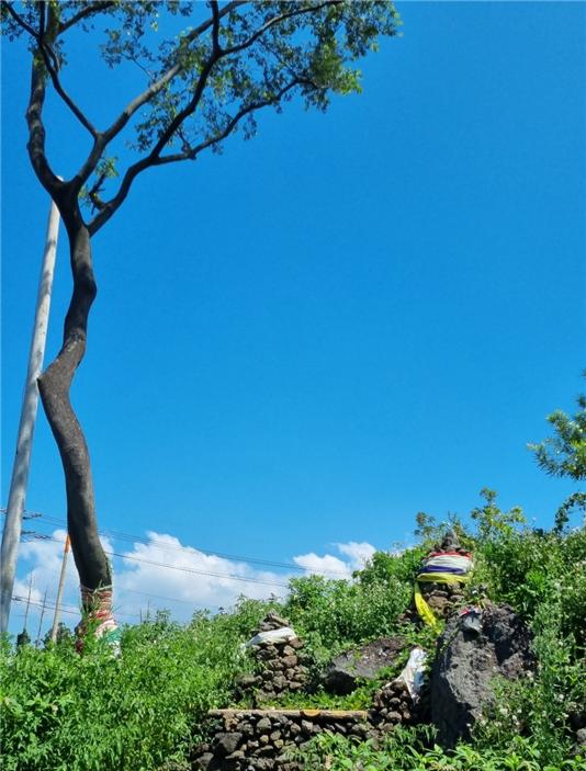용궁아기씨가 좌정하고 있는 불목당. (사진=여연)