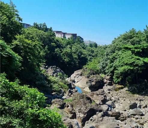 도람지궤당이 있는 중문천은 천연기념물인 천제연 난대림 보호구역이다. (사진=여연)