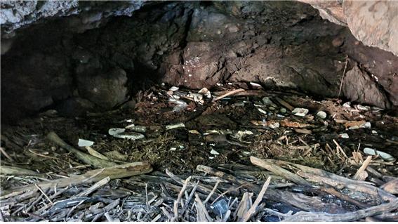 도람지궤당 안은 태풍과 홍수 등으로 쓰레기장이 되어 있었다. (사진=여연)