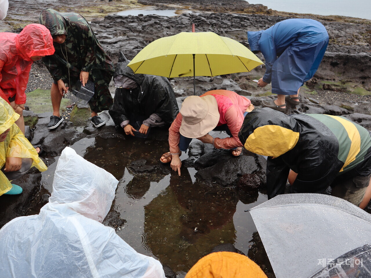 지난달 30일 제주 서귀포시 성산읍 수마포구 일대에서 해양시민과학센터 파란과 제주투데이가 '2023 제주해양포럼 여섯 번째 이야기: 제주도 조수웅덩이, 그 무한의 세계'를 진행하고 있다. (사진=조수진 기자)