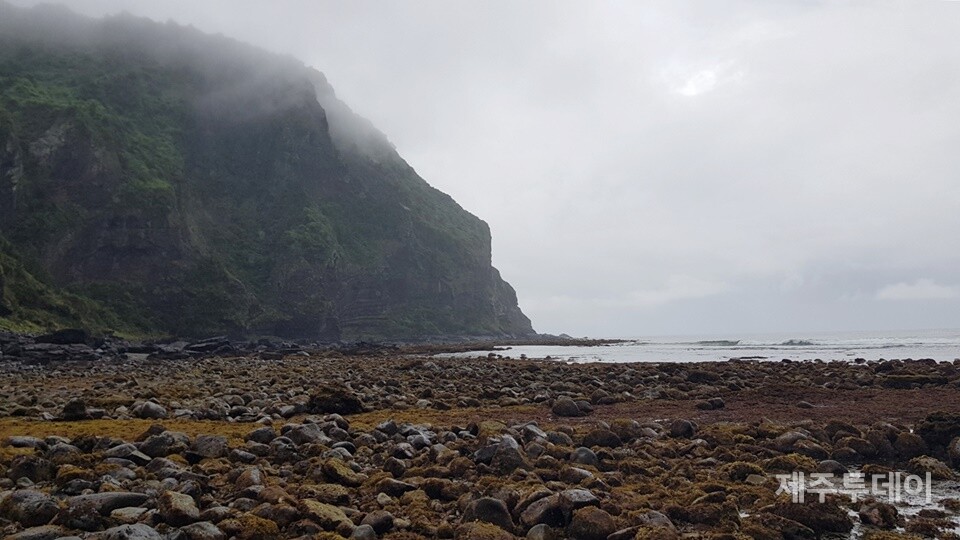 지난달 30일 제주 서귀포시 성산읍 수마포구 일대에서 해양시민과학센터 파란과 제주투데이가 '2023 제주해양포럼 여섯 번째 이야기: 제주도 조수웅덩이, 그 무한의 세계'를 진행했다. 사진은 수마포구 일대 형성된 조간대. (사진=박성인)