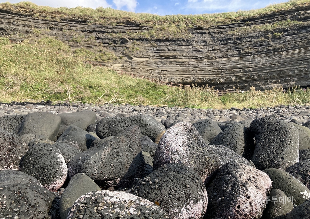 제주 한경면 고산리 연안 조간대 나타난 갯녹음 현상.&nbsp; (사진=녹색연합)