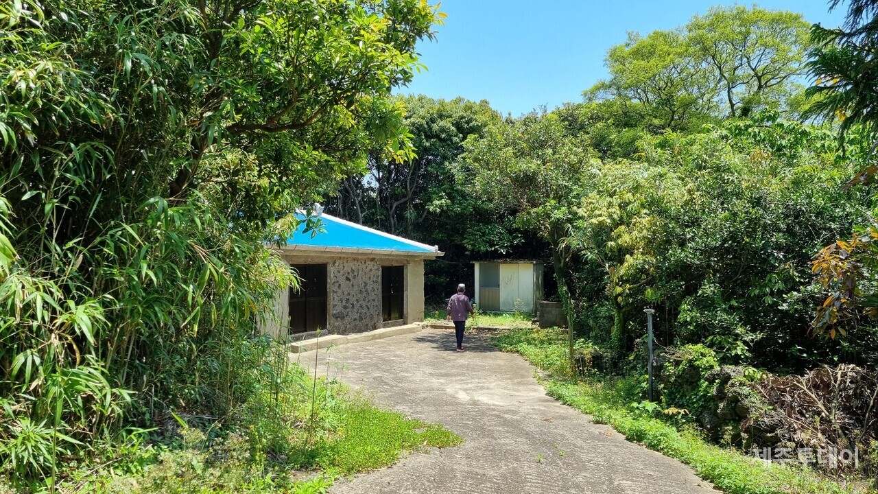중산간 지대 수풀 속에 위치한 삼달본향당. (사진=여연)