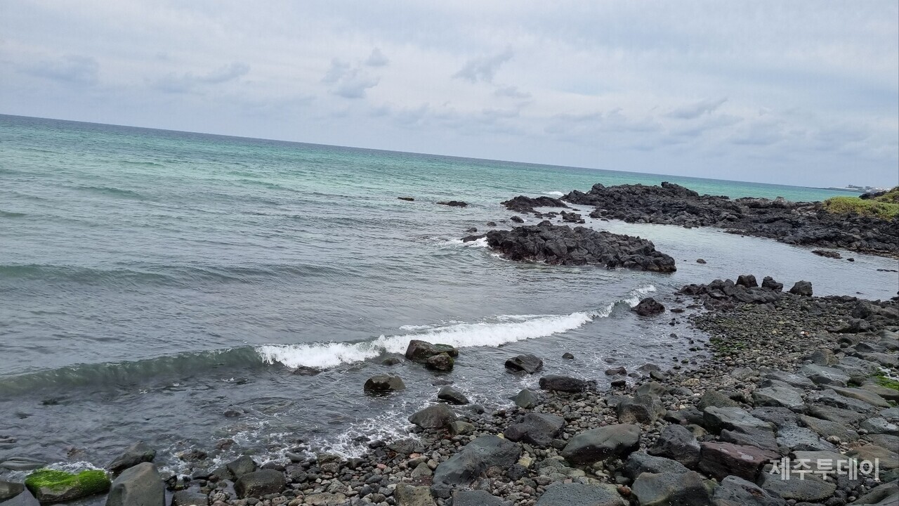 멸치 떼가 몰려왔다는 금성리 마을 앞 바닷가. (사진=여연)