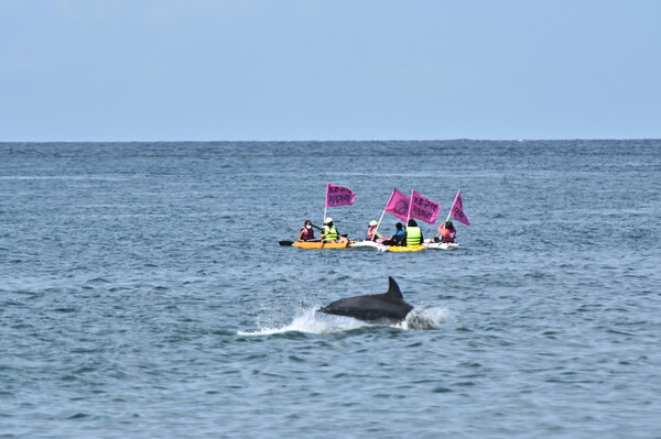 핫핑크돌핀스 활동가들이 제주 바다에서 남방큰돌고래에 대한 모니터링을 진행하고 있다. (사진=핫핑크돌핀스 제공)