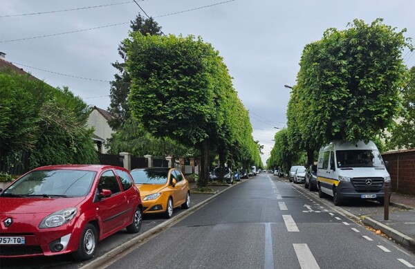 프랑스 파리시 외곽 올네쑤부와 지역의 주택가에 조성된 가로수. 제주도였다면 저 가로수를 모두 밀어버리고 자동차 주차장으로 만들었을지 모른다. 하지만 이 지역에서 가로수로는 주차장에 양보할 수 없는 가치가 있는 도시 자원이다.(사진=김재훈 기자)