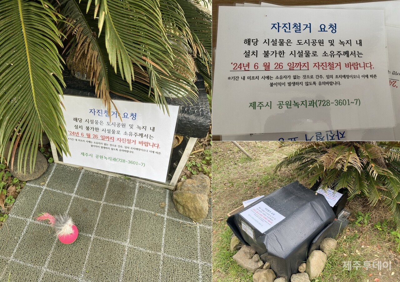 반복되는 캣맘-주민 갈등...“행정적 지원 없이는 개선 한계”