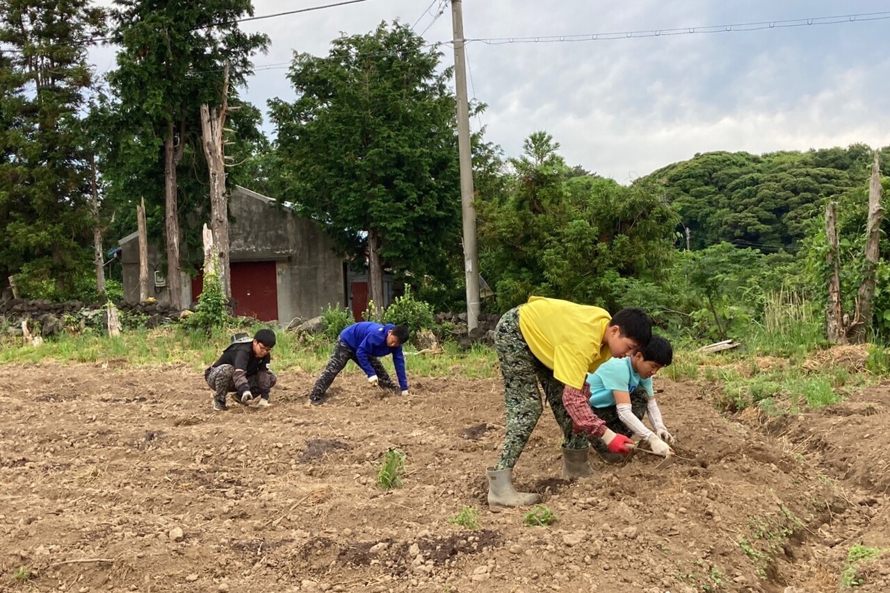 밭일을 할 때도 시간을 잘 계산하고 효율적으로 일할 수 있게 하는게 중요하다. (사진=제주볍씨학교 제공)