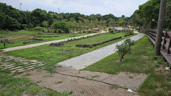 모다드렁숲 전경(사진=김재훈 기자)