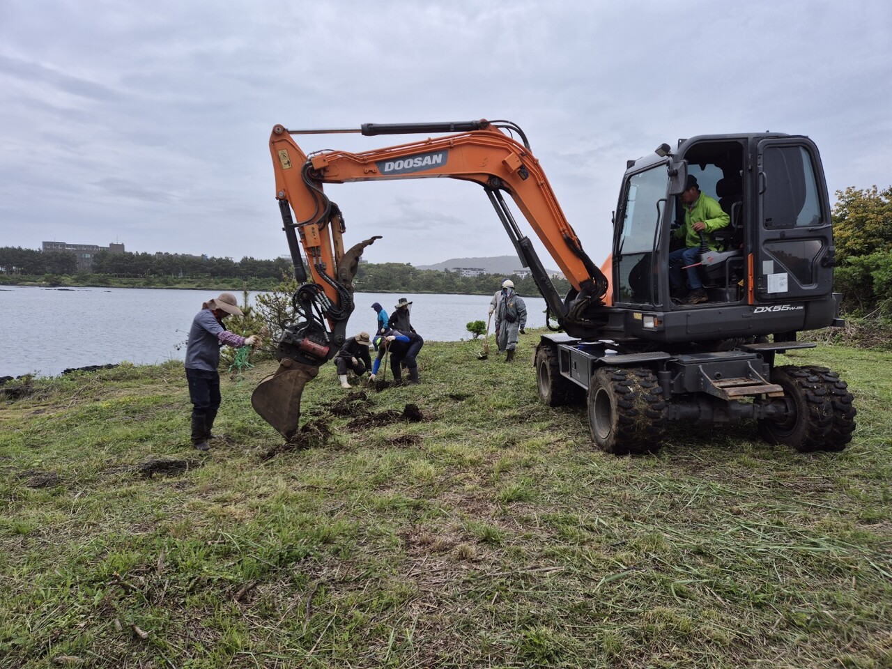 서귀포시 성산읍 오조리 주민들이 올레길 2코스에 철새보호를 위한 황근나무 300그루와 동백나무 100분을 식재하고 있다. (사진=고기봉 오조리 이장 제공)