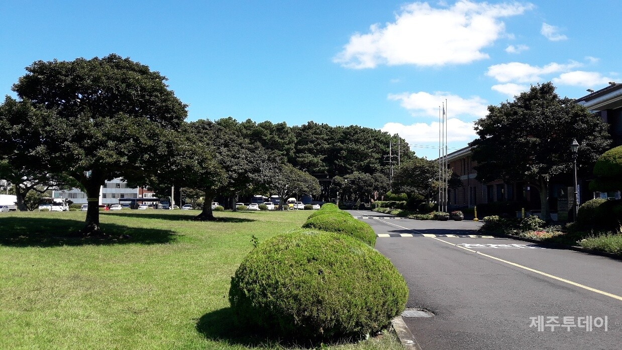서귀포 도시우회도로가 들어서는 서귀포학생문화원 일대. (사진=서귀포시 도시우회도로 녹지공원화를 바라는 사람들 제공)