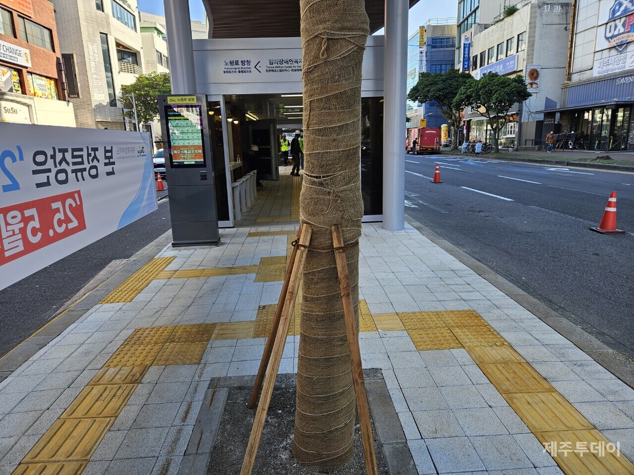 섬식정류장 중앙에 식재된 나무.(사진=김재훈 기자)