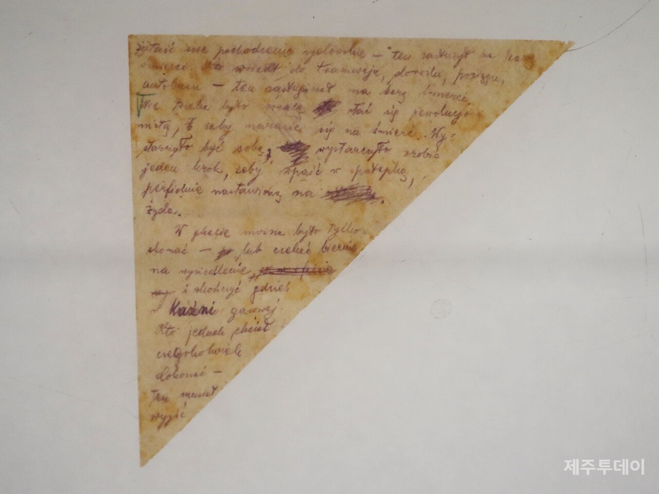 지난달 13일 제주대학교 일반대학원 4.3융합전공에 참여하는 교수와 대학원생들이 독일 베를린 학살된 유럽 유대인을 위한 추모지 지하 전시관을 찾았다. (사진=조수진 기자)