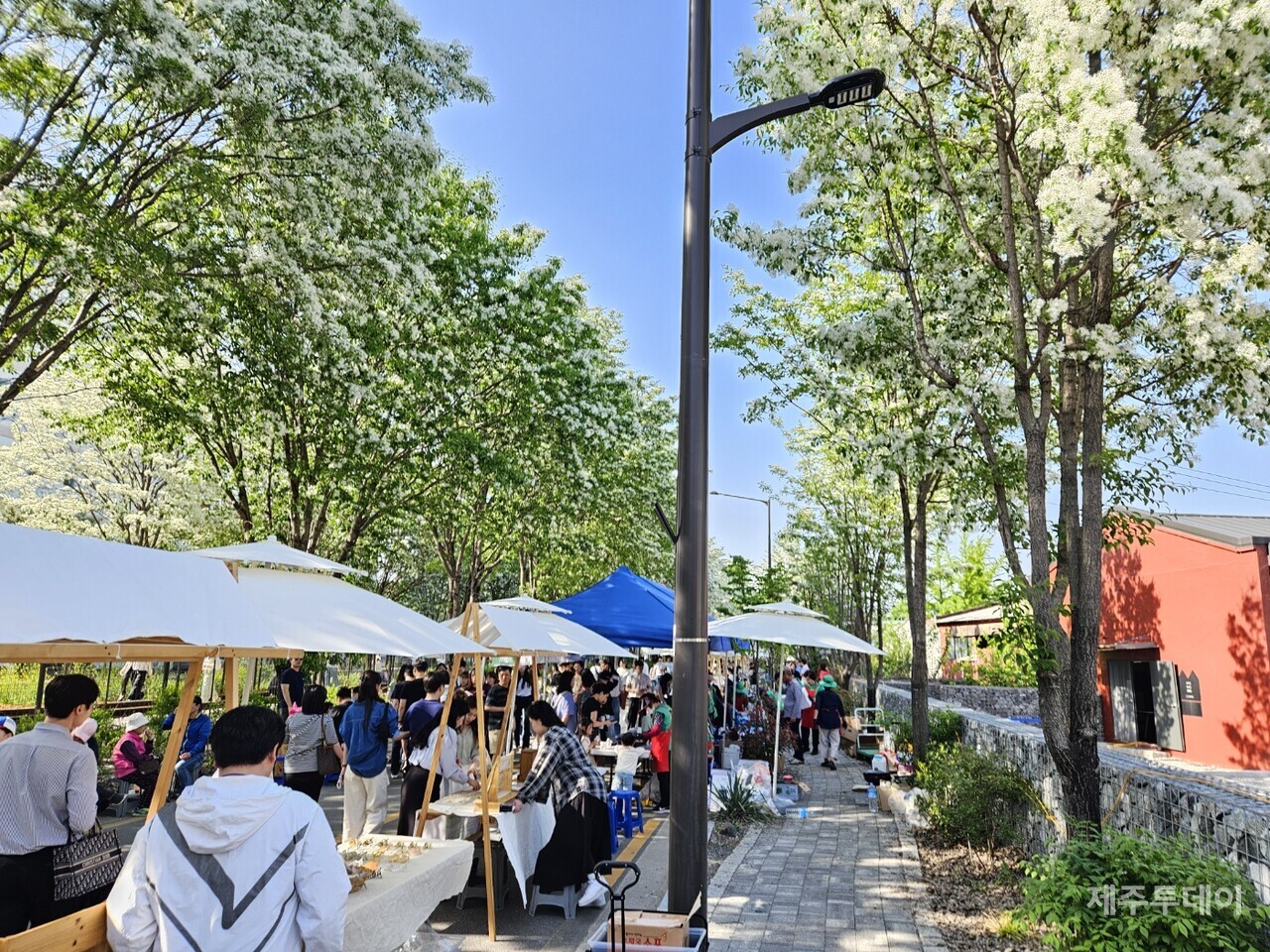 이팝나무 꽃이 만개한 팔복산업단지에서 시민들이 참여한 플리마켓. (사진=김재훈 기자)