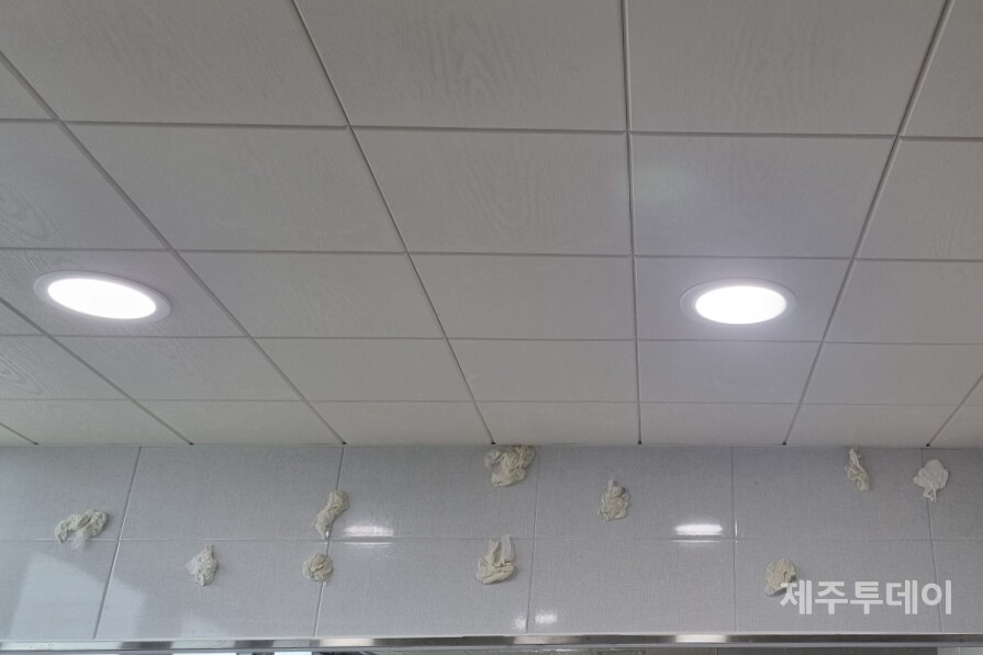 제주지역 A학교 화장실 타일 벽에 학생들이 던진 물에 젖은 휴지가 붙어있다.  (사진=인터뷰 대상자 제공)