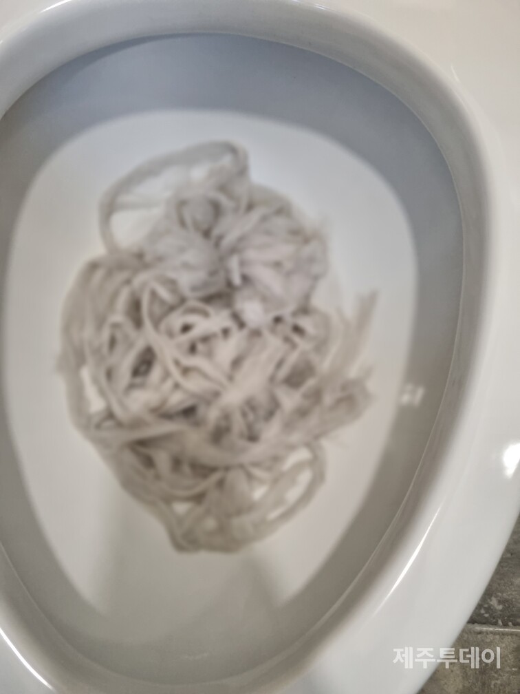 제주도내 B학교 화장실 변기에 학생들이 장난으로 만들어 넣은 것으로 추정되는 휴지뭉치. (사진=인터뷰 대상자 제공)