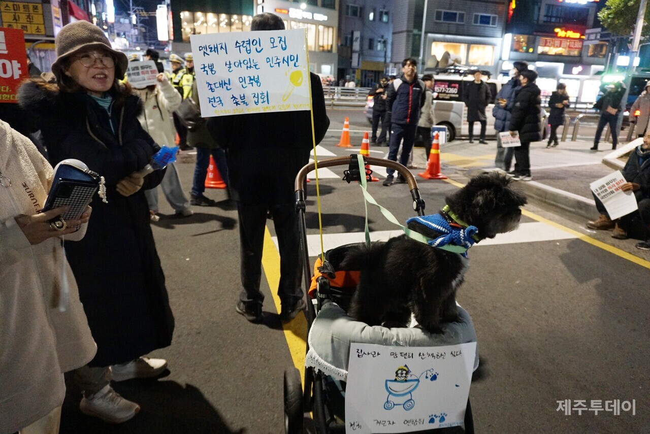 10일 열린 윤석열 즉각 퇴진 요구 제주도민대회에 한 참가자가 반려견과 함께 참여했다. (사진=양유리 기자)