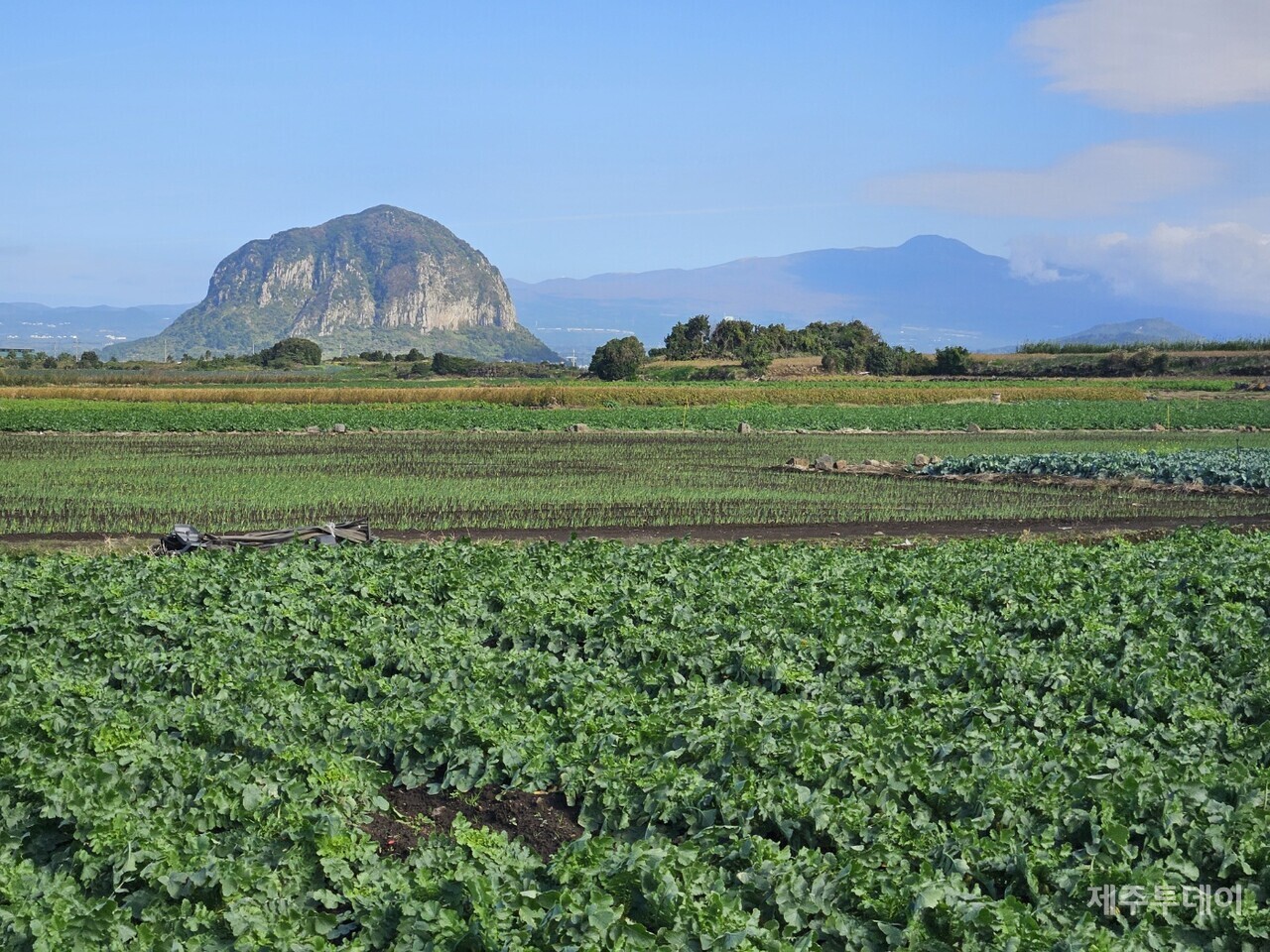 알뜨르비행장 일대에서 바라본 산방산과 한라산. 18일 제주특별자치도가 개최한 ‘마라해양도립공원 공원계획 변경 용역 최종보고회’에서 배포된 자료에 따르면 위 풍경은 크게 달라질 예정이다. (사진=김재훈 기자)