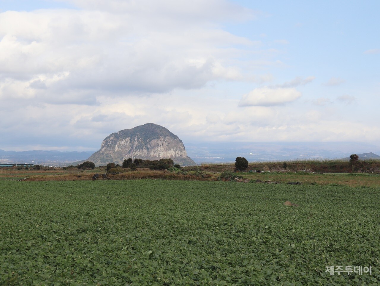 산방산이 보이는 알뜨르 일대. 2024년 12월13일 촬영. (사진=조수진 기자)