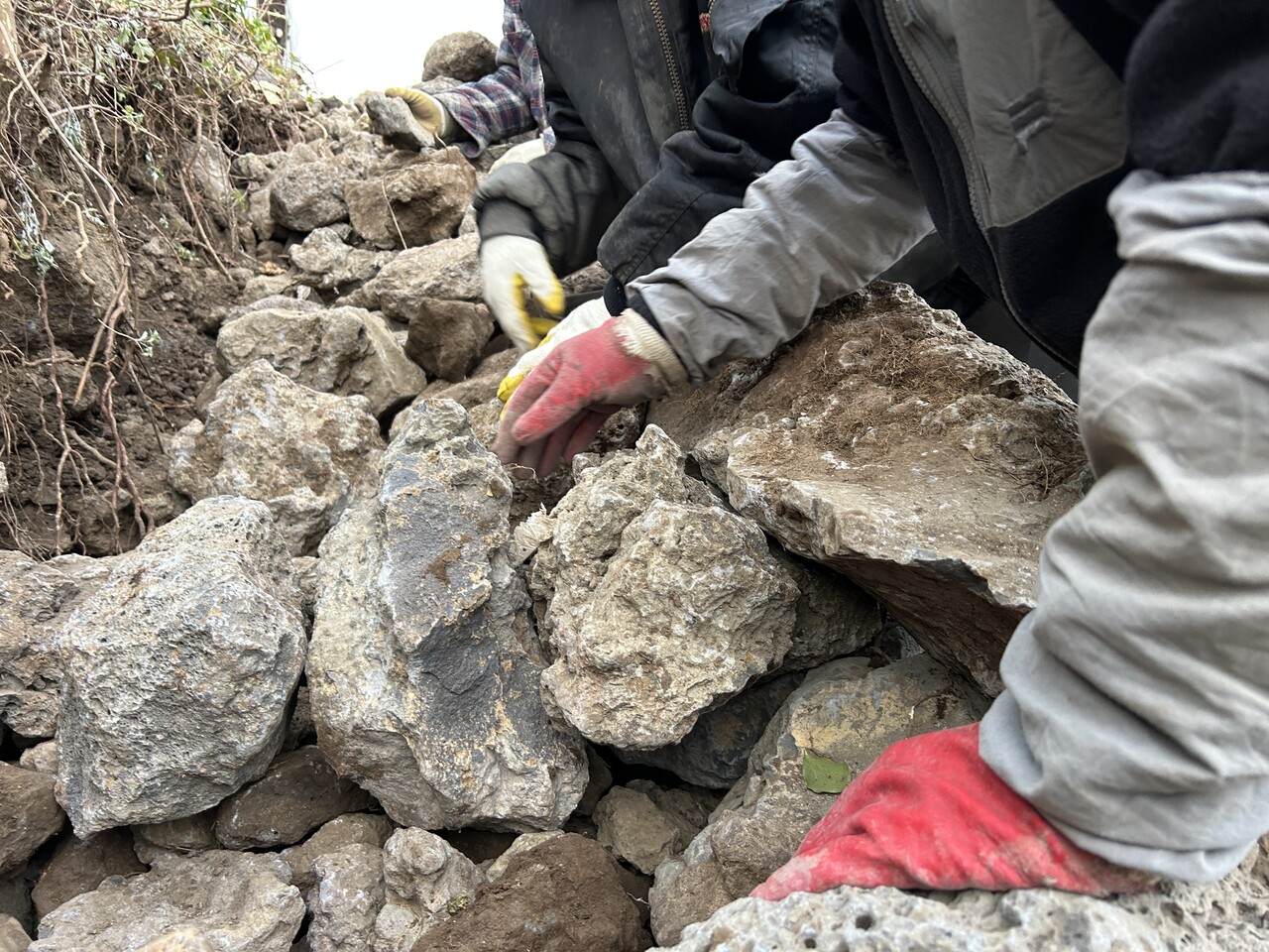전문 돌챙이와 볍씨학교 학생들이 돌담을 쌓는 작업을 하는 모습. (사진=천유섭 제공)