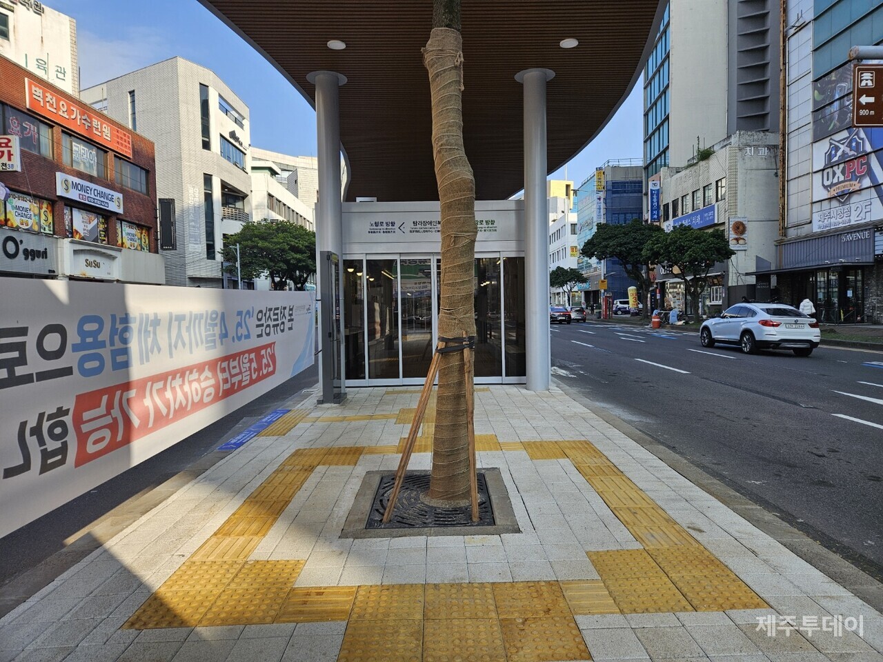 제주도가 섬식정류장 중앙에 식재한 나무. 이동 경로 한 복판에 나무를 식재해 보행자들의 이동 불편을 초래하는 상황이다. 휠체어 이용자 및 시각장애인은 도로로 추락할 위험성도 있다고 나무 제거를 촉구하고 있다.(사진=김재훈 기자)