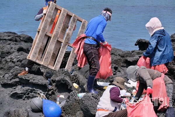 지난해 4월 제주시 한경면 신창리 일대 바다에서 '제주시바다지킴이' 활동가들이 해안쓰레기를 수거하고 있다. (사진=박지희 기자)