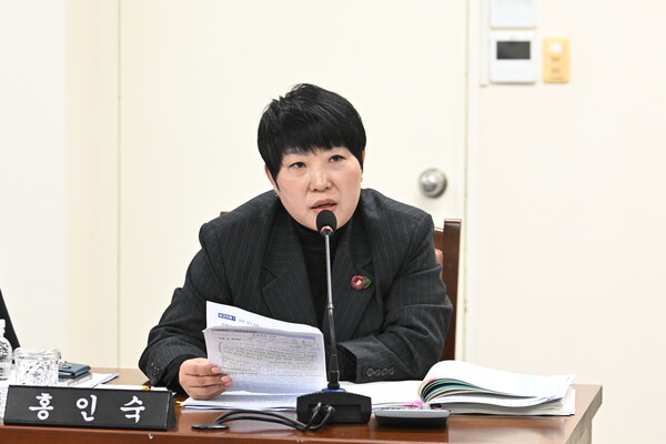 홍인숙 제주도의원(사진=제주도의회 제공)