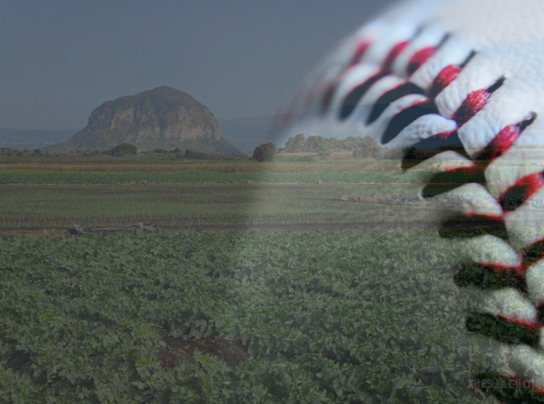 제주도는 알뜨르비행장 일대에 전지훈련을 위한 야구장 등 스포츠타운을 조성하는 사업을 추진 중이다.(사진 편집=김재훈 기자)