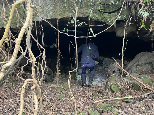  사진 제공= 곶자왈사람들 