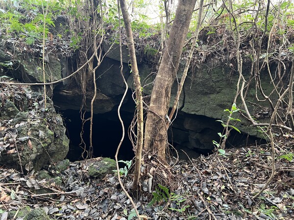 사진= 곶자왈사람들