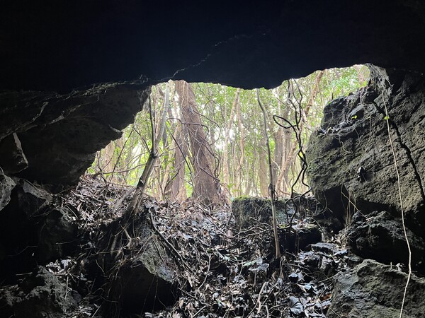 사진 곶자왈사람들 