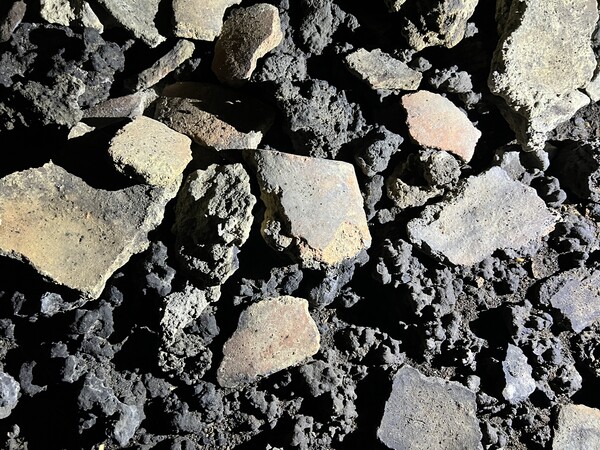  사진 곶자왈사람들